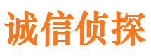 宛城诚信私家侦探公司